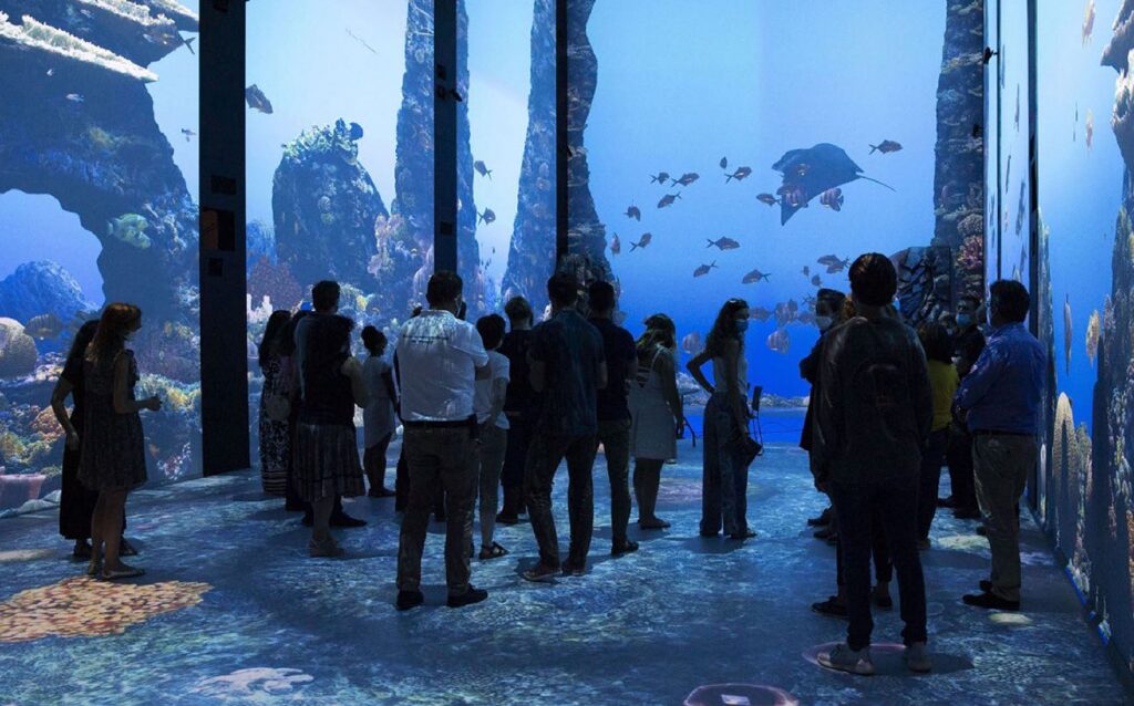 Group of visitors standing in a large immersive aquarium space, watching marine life through floor-to-ceiling glass walls.